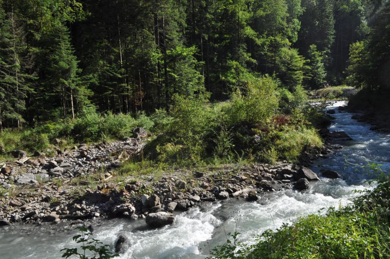 Ferienwohnung Ob Vierwaldsaettersee Isenthal Zewnętrze zdjęcie